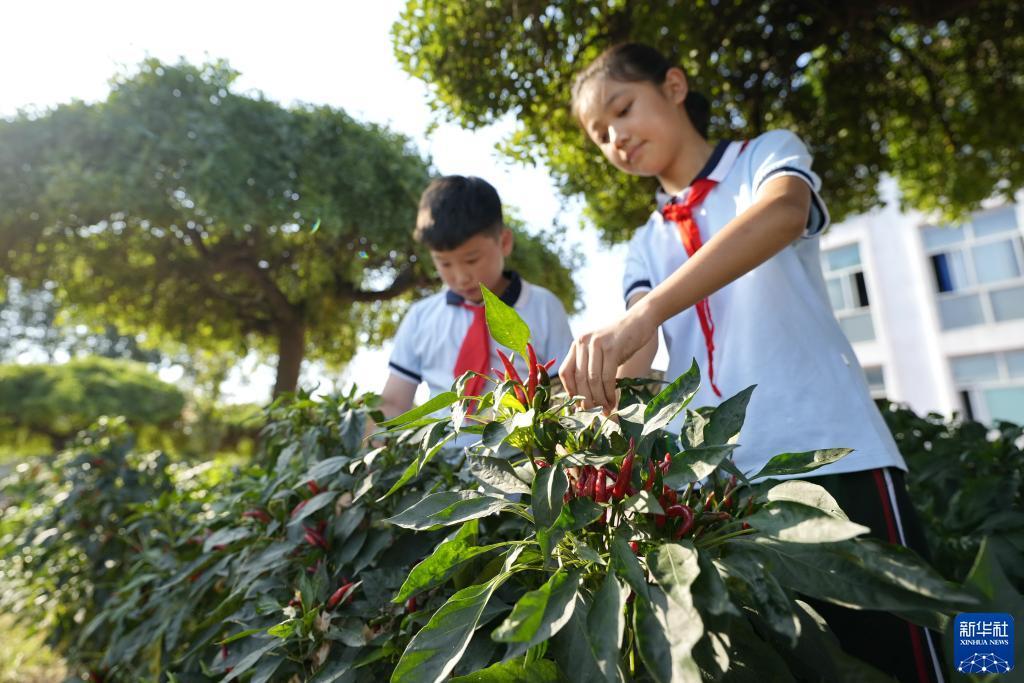 皇冠注册网
